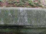 image of grave number 845446
